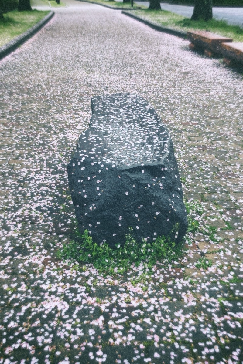 生活に水 ワークショップ記録 9