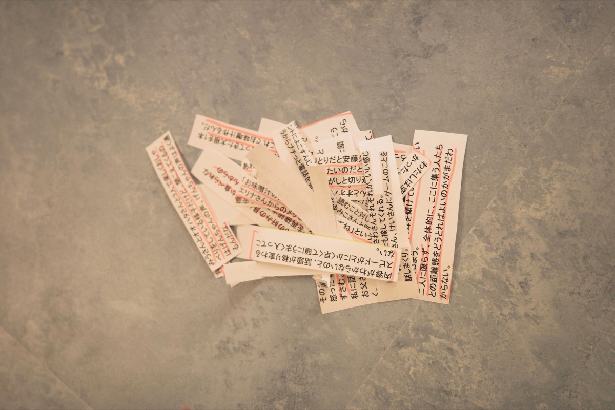 うちのあかり、じっとみている